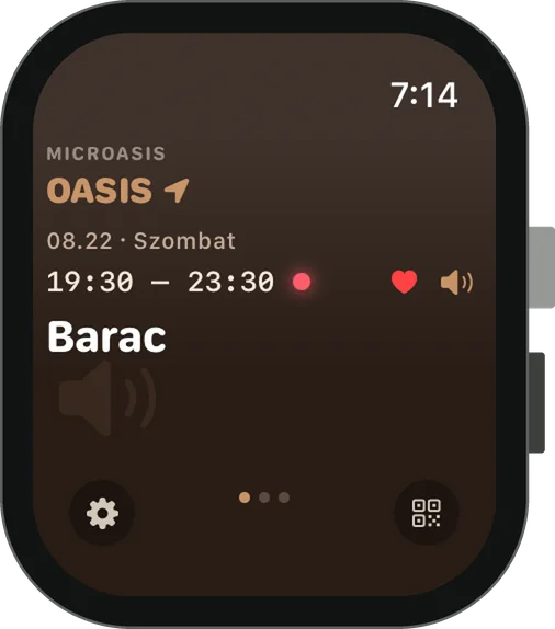 Apple Watch — Oasis