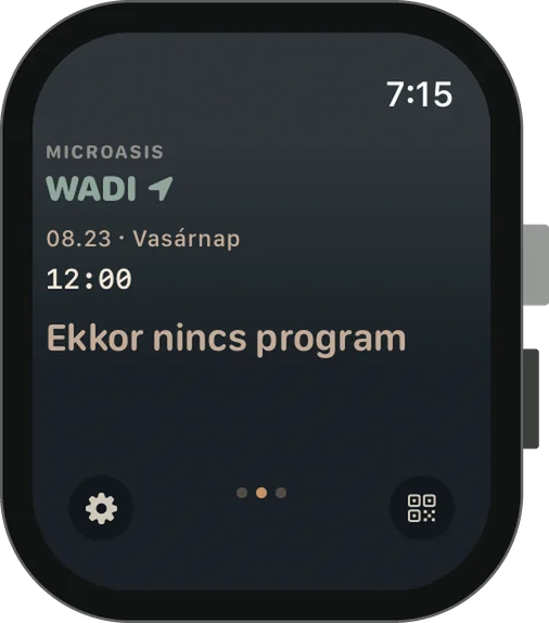 Apple Watch — quiet stage